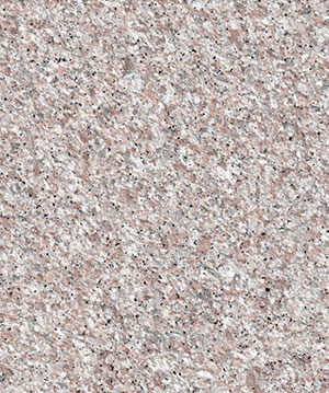 2022.6.15_15.2.13_8901