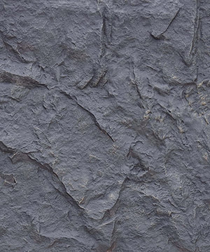 2024.10.22_13.59.4_5990