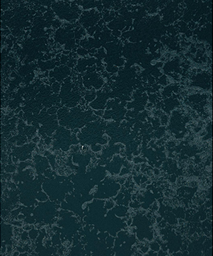 2024.7.1_11.52.12_1681