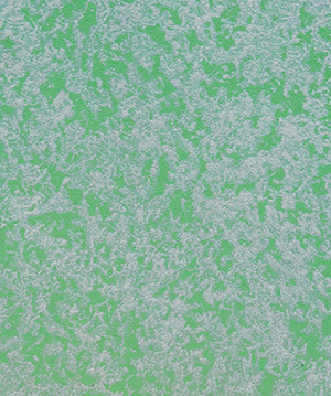 2024.7.2_11.19.51_4849